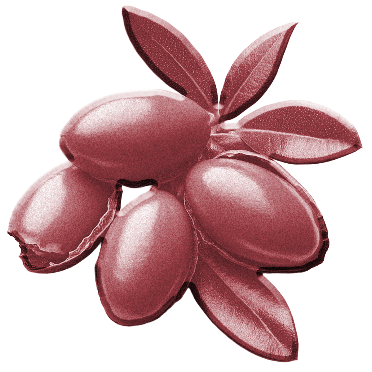 Pink argan-plant object on a white background